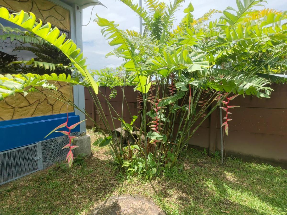 Arenal Homes La Fortuna Extérieur photo