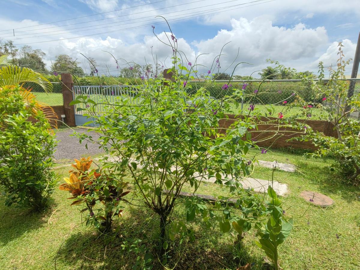 Arenal Homes La Fortuna Extérieur photo